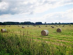 st-nicolas-de-bliquetuit (8)